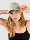 Dickies Wilsall Cap