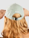 Dickies Wilsall Cap
