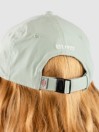 Dickies Wilsall Cap