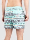 Party Pants Fiesta Stripe HH Boardshorts