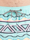 Party Pants Fiesta Stripe HH Boardshorts