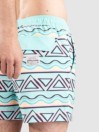 Party Pants Fiesta Stripe HH Boardshorts
