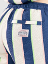 Party Pants Sundays Stripe 2N1 Boardshorts