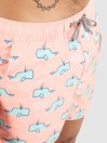 Party Pants Moby 2.0 HH Boardshorts