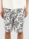 Solid SDLIAM Aop Elas. Shorts