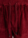 Ementa SB Magoado Cord Shorts