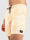 Rip Curl Aots - Cody Welsh Volley Boardshorts