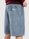 Blue Tomato Mini Cord Shorts