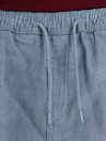 Blue Tomato Mini Cord Shorts