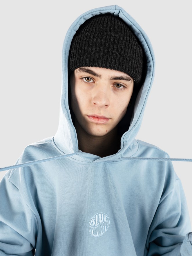 Blue Tomato Mini Logo Hoodie