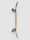 Push Skateboards India MLSL 8.25″ Skateboard complet