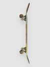 Push Skateboards India MLSL 8.25″ Skateboard complet