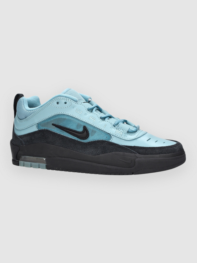 Nike Air Max Ishod Skate Shoes