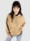 Nike Sb Skate Hoodie