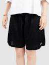 Nike SB Df Jacq Sport Shorts
