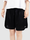 Nike SB Df Jacq Sport Short