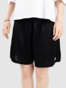 Nike SB Df Jacq Sport Shorts