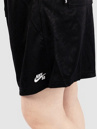 Nike SB Df Jacq Sport Shorts
