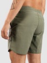 Salty Crew Volley Boardshorts