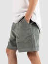 Blue Tomato Cord Kids Shorts