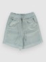 iceberg green