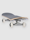 DGK Akina Pass Mini 7.25″ Complete