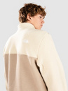 THE NORTH FACE Yumiori 1/4 Half-Zip Pull polaire