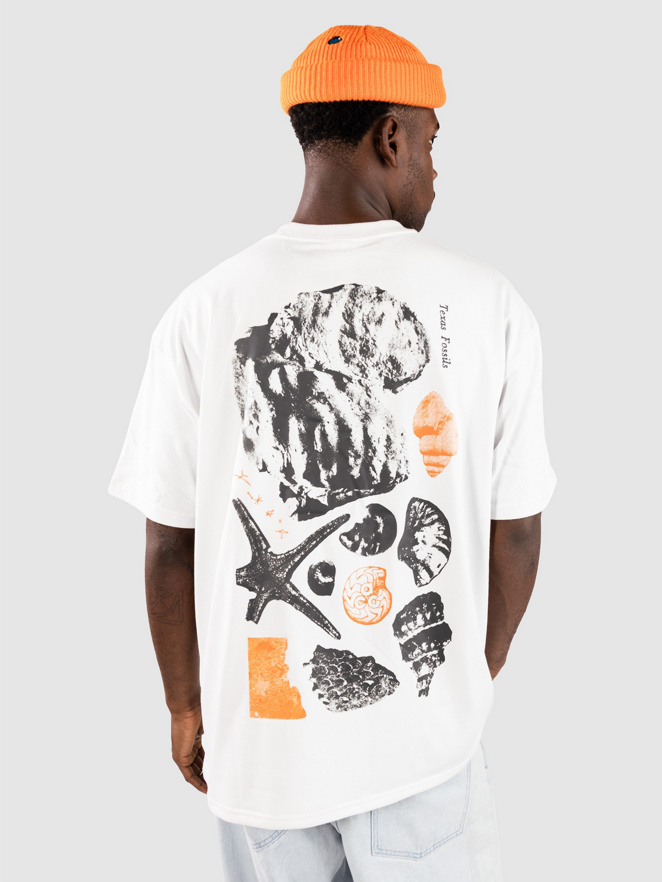 Nike ACG ACG Oc Fossils T-Shirt