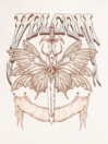 Volcom Dial Crop T-Shirt