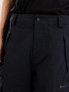 Volcom Longo Gore Tex Pants