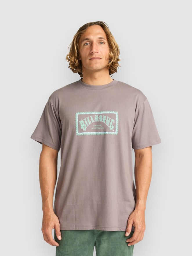 Billabong Arch Frame T-Shirt