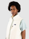 Patagonia Retro Pile Weste