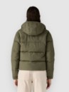 Patagonia Downdrift Parka