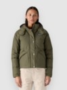 Patagonia Downdrift Parka