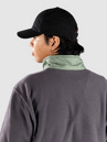 Patagonia Microdini 1/2 Half-Zip Pull polaire