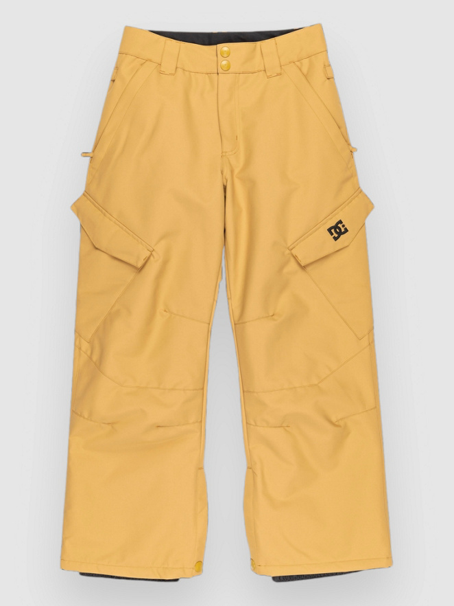 DC Banshee Kids Pants