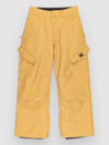 DC Banshee Kids Pants