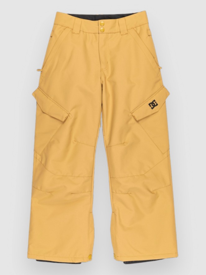 DC Banshee Kids Pants