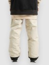 DC Snow Chino Pants