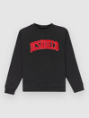 DC Varsity Crew Kids Sweater