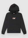 DC Handy Cam Kids Hoodie