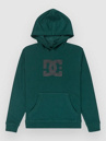 DC Star Kids Hoodie
