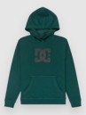 DC Star Kids Hoodie