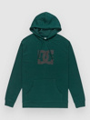 DC Star Hoodie