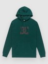 DC Star Hoodie