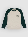 DC Corpo Raglan Crew Kids Sweater