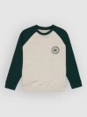 DC Corpo Raglan Crew Kids Tröja