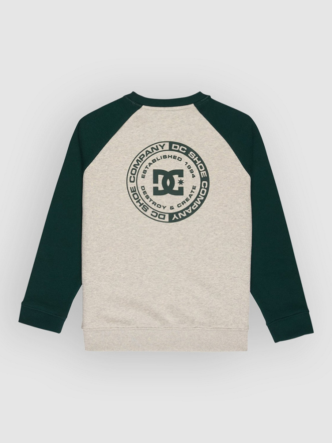 DC Corpo Raglan Crew Kids Tröja