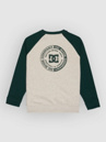 DC Corpo Raglan Crew Kids Sweater