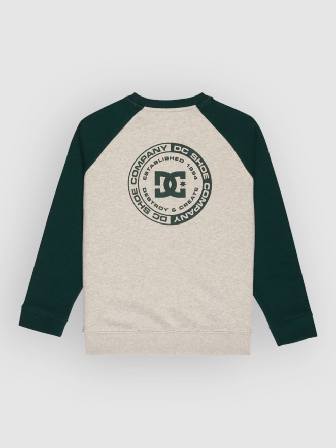 DC Corpo Raglan Crew Kids Tröja